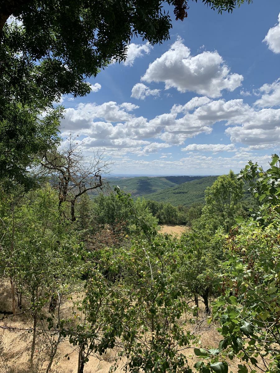 Autour de la forêt de Grézelles