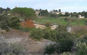 Vignes et garrigues autour de Moussoulens