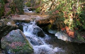 Les sources de la Clamoux