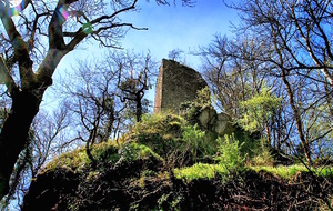 La tour de Roquefort