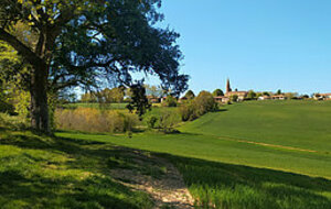 Montgaillard-Soutenue-La Cheneraie