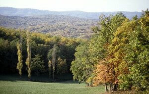 Le vignoble des hauts de Gaillac et le bois de Gradille